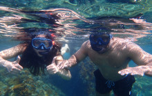 Catalands10