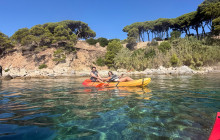 Catalands7