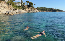 Catalands8