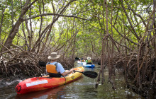Wild Lime Adventures, Inc3