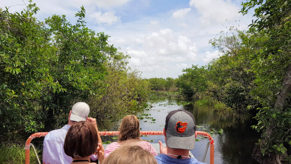 Full Day Southern Everglades with 90 Minute Boat Trip