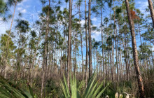 Wild Lime Adventures, Inc10