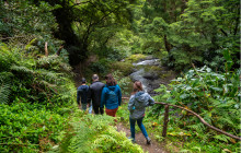 Pure Azores Unipessoal Lda3