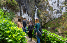 Pure Azores Unipessoal Lda8