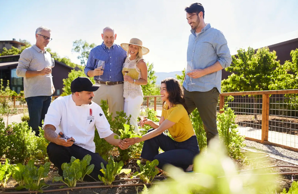 The Oakville Trek: Wine & Food Pairing Experience