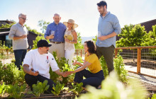 B Cellars Vineyards and Winery1