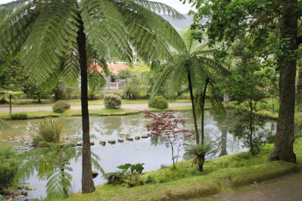 Azores Islands Experience