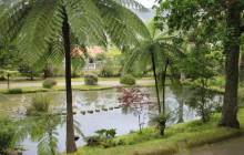 Azores Islands Experience19