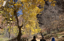 Grand Circle Tours7