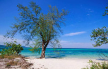 Rooty Trip Phu Quoc6