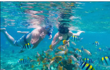 Island Cruises & Excursions27