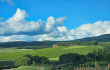 We Like Tuscany14