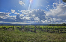 We Like Tuscany15