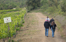 We Like Tuscany18