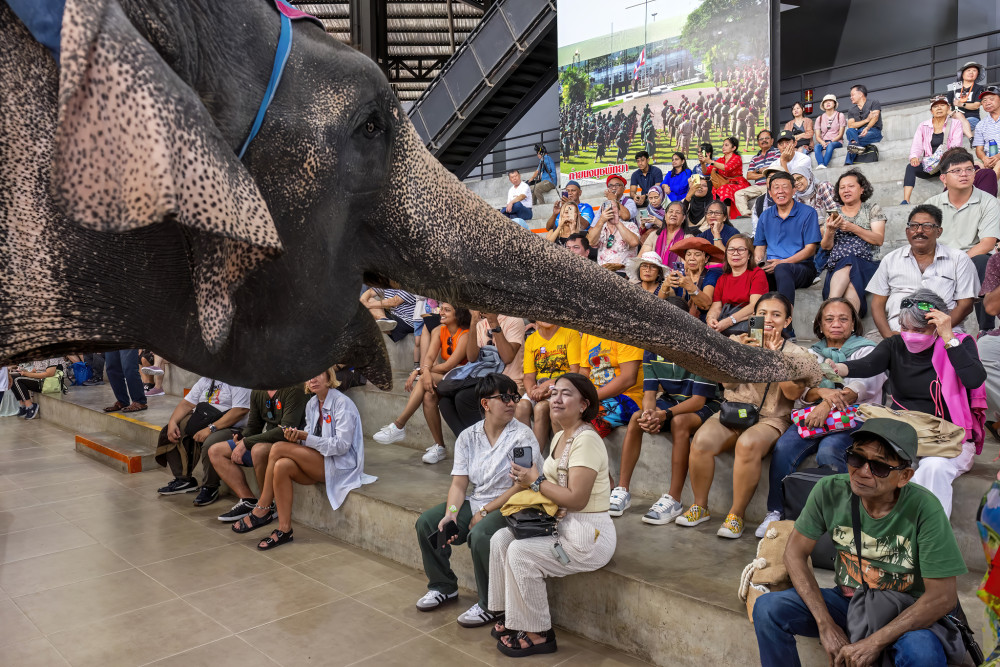 Explore Nongnooch Garden & Epic Show