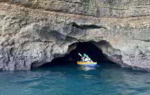 Otter Tours Wildwatch and Cave tours2