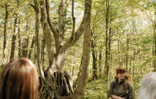 HQ Services Touristiques6