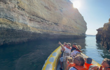 Otter Tours Wildwatch and Cave tours6