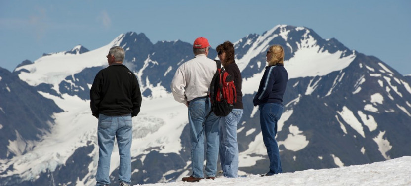Cruise Ship Tour and Transfer: Seward to Anchorage