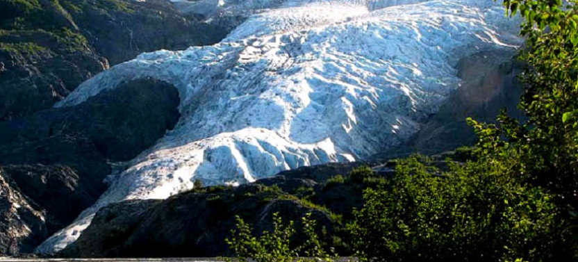 Cruise Ship Tour and Transfer: Seward to Anchorage