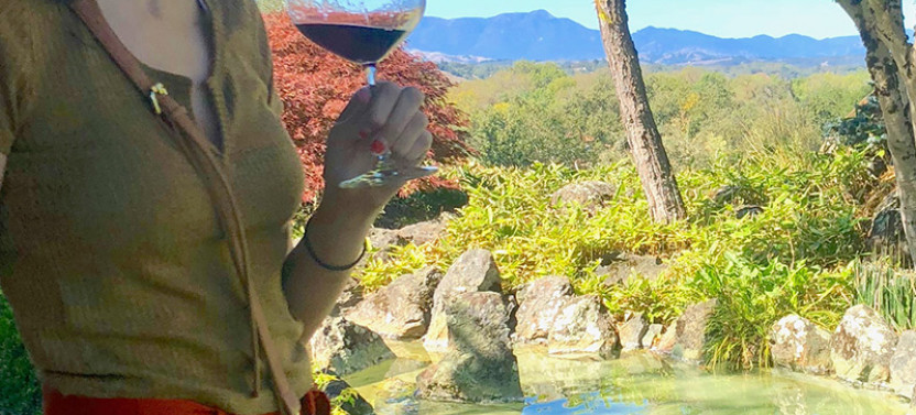 Small Group Sonoma Valley Wine Tour