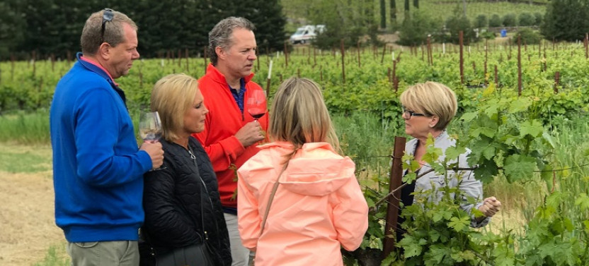 Private Wine Tours: Experience Wine Country