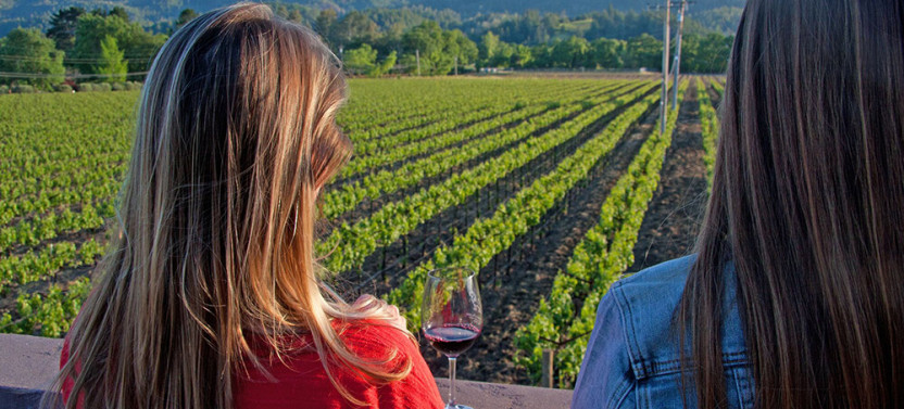 Private Wine Tours: Experience Wine Country