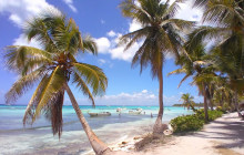 Saona Island Deluxe - Exclusive Full Day Experience (Group of 8+ pax)