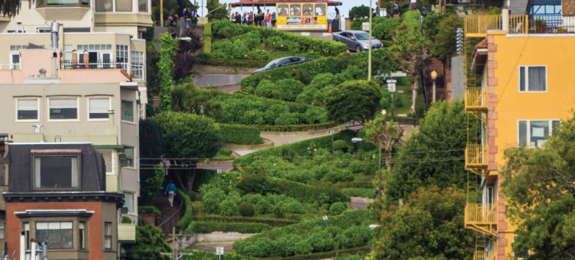 1 Day San Francisco Hop On Hop Off City Tour