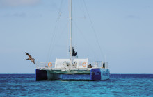 Pelican Adventures12