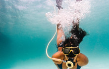 Pelican Adventures13