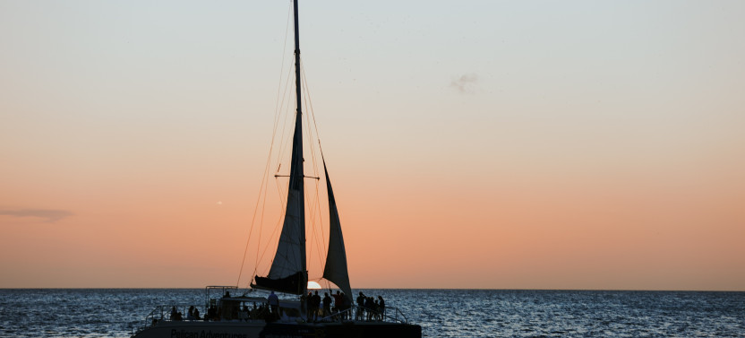 Sunset Catamaran Cruise with Open Bar and Optional Dinner in Aruba
