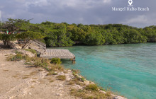 Pelican Adventures11