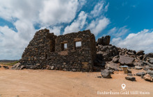 Pelican Adventures12