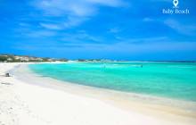 Pelican Adventures14