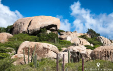 Pelican Adventures10