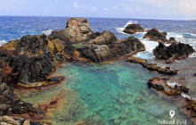 Pelican Adventures11