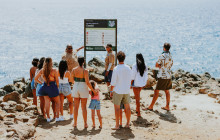 Pelican Adventures12