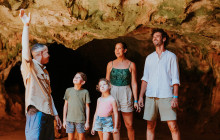 Pelican Adventures13