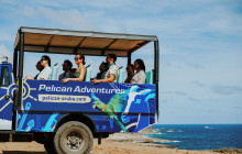 Pelican Adventures15