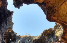 Pelican Adventures16