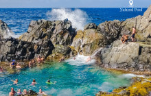 Pelican Adventures23