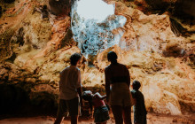 Pelican Adventures25