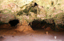 Pelican Adventures26