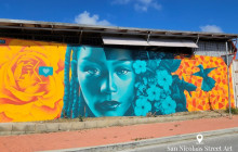 Pelican Adventures11