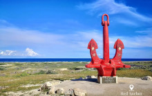 Pelican Adventures12