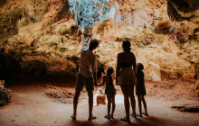 Pelican Adventures15