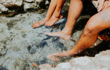 Pelican Adventures21