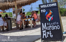 Pelican Adventures11