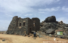 Pelican Adventures12